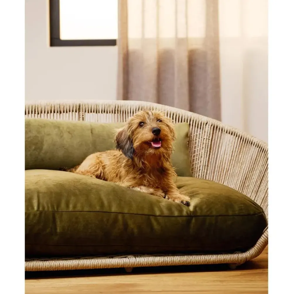 Best Cama Para Mascotas De Interior/Exterior Vogue Accesorios Para Animales