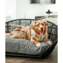 Best Cama Para Mascotas De Interior/Exterior Prado Accesorios Para Animales