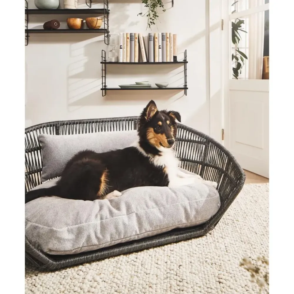 Clearance Cama Para Mascotas De Interior/Exterior Prado Accesorios Para Animales