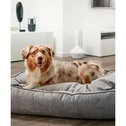 Fashion Cama Para Mascotas De Terciopelo Glam, Tamanos Diferentes Accesorios Para Animales