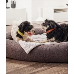 Best Cama Para Mascotas En Tejido Boucle Teddy, Tamanos Diferentes Accesorios Para Animales