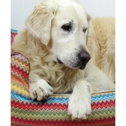 Hot Cama Para Mascotas Zik Zak, Tamanos Diferentes Accesorios Para Animales