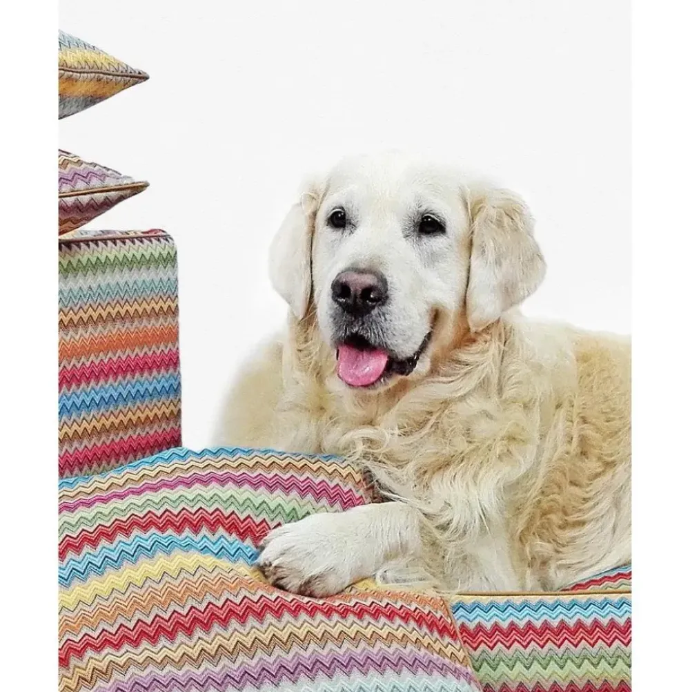 Hot Cama Para Mascotas Zik Zak, Tamanos Diferentes Accesorios Para Animales