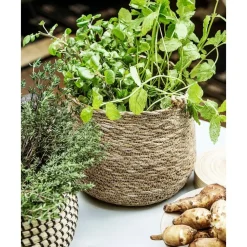 Hot Cesta Hang Cestas