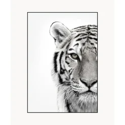 Best Impresion Digital Enmarcada White Tiger Cuadros Y Laminas Decorativas