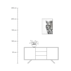 Best Impresion Digital Enmarcada White Tiger Cuadros Y Laminas Decorativas