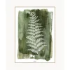 Discount Lamina Decorativa White Fern Cuadros Y Laminas Decorativas