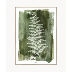 Discount Lamina Decorativa White Fern Cuadros Y Laminas Decorativas