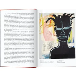 Sale Libro Ilustrado Basquiat Libros Decorativos