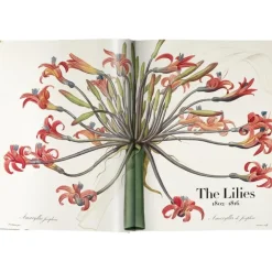 New Libro Ilustrado Book Of Flowers Libros Decorativos