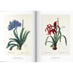 New Libro Ilustrado Book Of Flowers Libros Decorativos