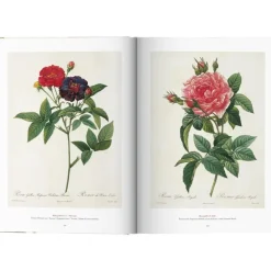 New Libro Ilustrado Book Of Flowers Libros Decorativos