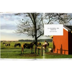 Sale Libro Ilustrado Great Escapes Latin America Libros Decorativos