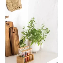Hot Macetero De Ceramica Ivory Maceteros