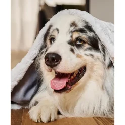 Best Manta Acolchada Para Mascotas Cozy, Tamanos Diferentes Accesorios Para Animales