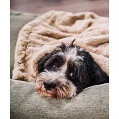 Online Manta Acolchada Para Mascotas Cozy, Tamanos Diferentes Accesorios Para Animales