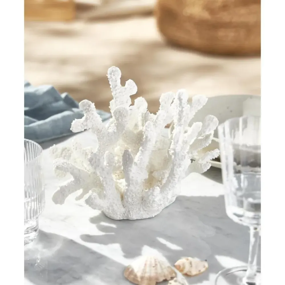 Best Pieza Decorativa De Diseno Coral Figuras Decorativas