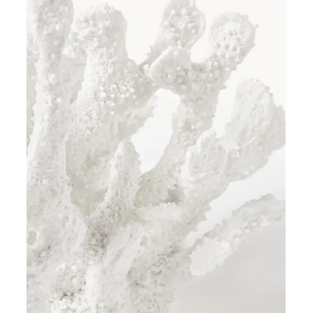 Best Pieza Decorativa De Diseno Coral Figuras Decorativas