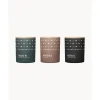 Outlet Velas Perfumadas Hibernation, 3 Uds. Velas Perfumadas