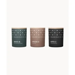 Outlet Velas Perfumadas Hibernation, 3 Uds. Velas Perfumadas